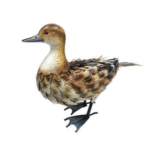Picture of Primus Metal Brown Duck