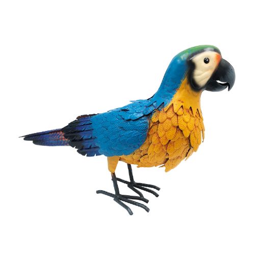 Picture of Primus Metal Blue & Yellow Macaw Parrot