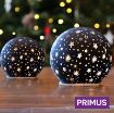 Picture of Primus Glass LED Globe Light - Medium