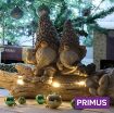 Picture of Primus Colton & Connor Cone-Hat Gnomes On LED Log
