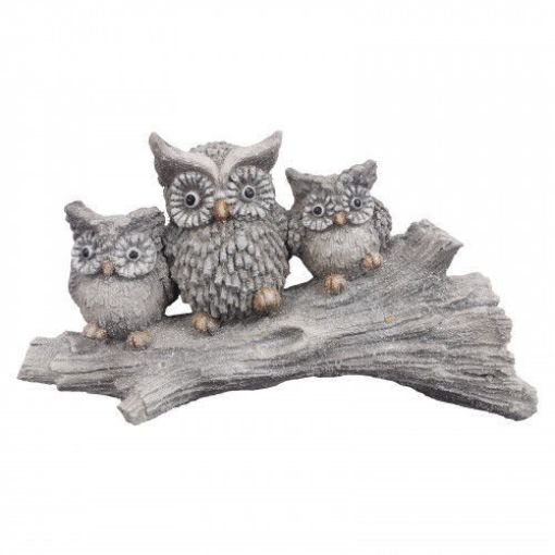 Picture of Primus Winterland Owls On Log