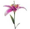 Picture of Primus 1.2m giant Metal Lily Garden Stake
