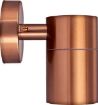 Picture of Luceco Azurar Stainless Steel Copper Effect Wall Light