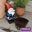 Picture of Primus Garden Gnome With Wheelbarrow Planter