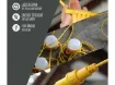 Picture of Lighthouse LED Festoon Lights 22M 10 Bulbs 110V